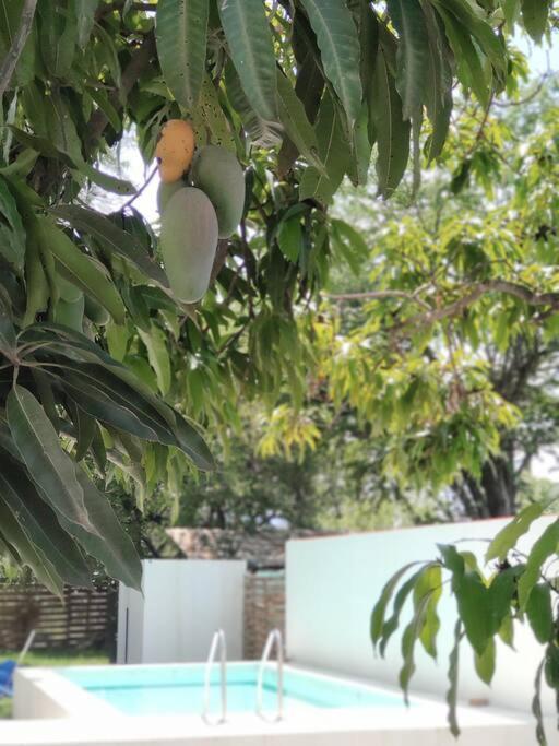 Casa Mango Amplia Con Alberca Y Cerca De La Media Luna !!! Río Verde Exterior photo