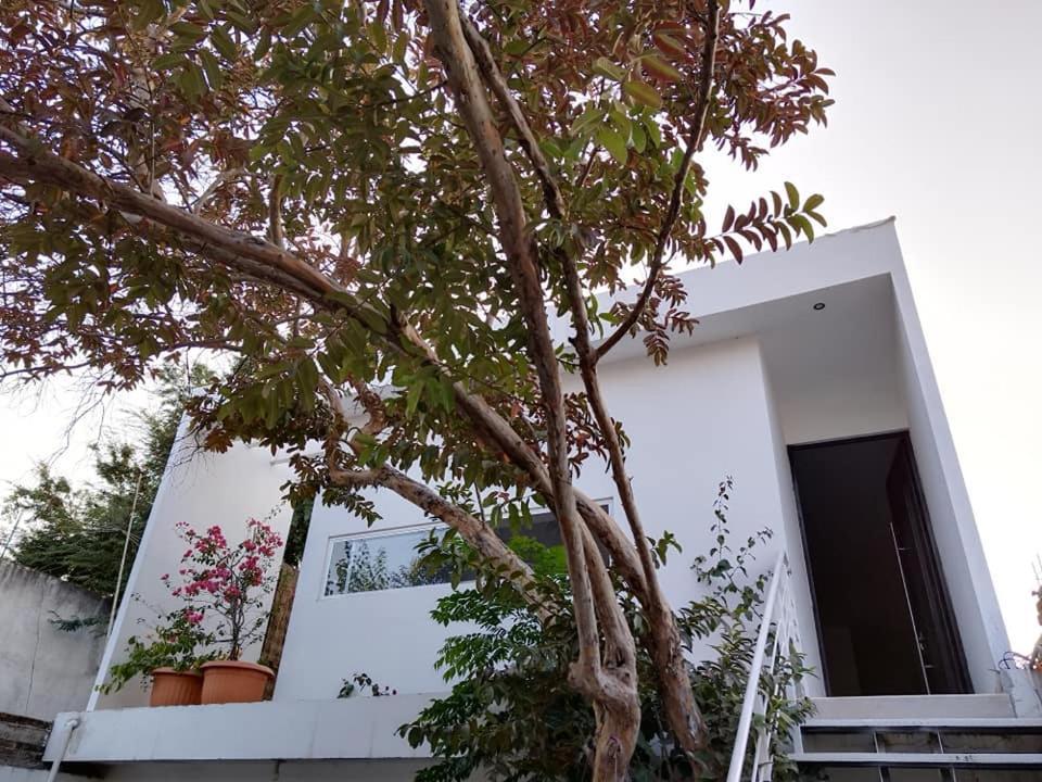 Casa Mango Amplia Con Alberca Y Cerca De La Media Luna !!! Río Verde Exterior photo